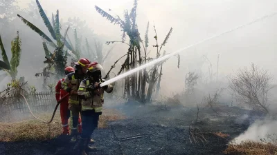 Karhutla Mendominasi, 329 Kebakaran Terjadi di Purwakarta hingga September 2026
