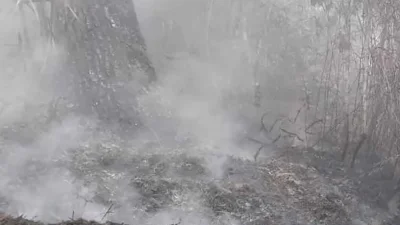 Karhutla Subang Capai 91 Hektare, Gunung Kujang Terbakar Hampir Sepekan