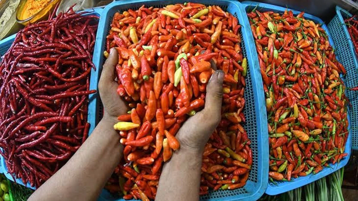 Harga Pangan Hari Ini 29 September 2026