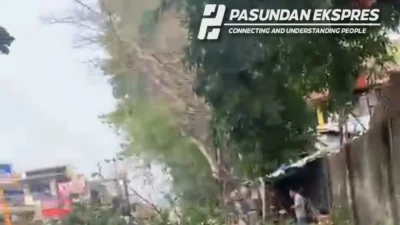 Dahan Pohon Patah di Jalan Soklat Subang, Pengendara Ojol Jadi Korban