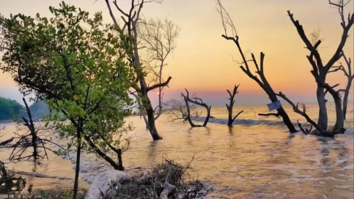 20 Menit Naik Perahu Menuju Pantai Tersembunyi di Subang, Ini Jalur dan Tiketnya