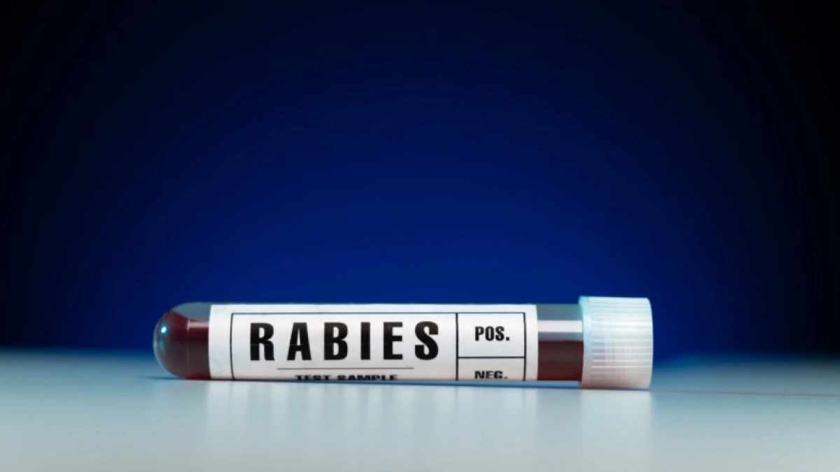 Disnakeswan Subang Gelar Vaksinasi Rabies Gratis untuk Hewan Peliharaan, Catat Jadwalnya