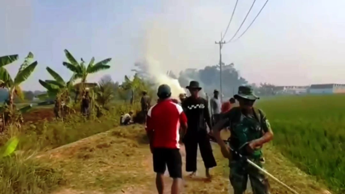 Antisipasi Musim Hujan, Petani di Purwakarta Diminta Perbaiki Saluran Irigasi