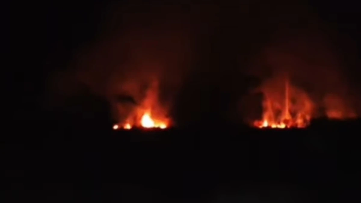 Kebakaran Di Subang Melahap Lahan Kebun! Meluas hingga Setengah Hektare, Petugas Berupaya Padamkan Api