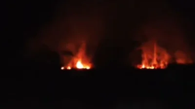 Kebakaran Di Subang Melahap Lahan Kebun! Meluas hingga Setengah Hektare, Petugas Berupaya Padamkan Api