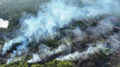 Pemerintah Belum Tetapkan Karhutla sebagai Bencana Nasional, Enam Provinsi Jadi Prioritas