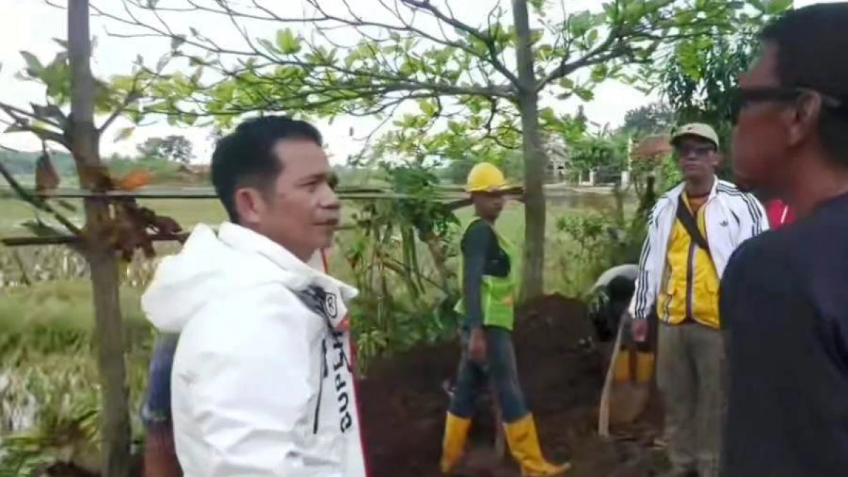 Bupati Larang Warga Tebang Pohon Aren, Dorong Program Ekonomi Hijau