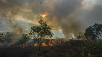 Status Bencana Nasional Karhutla Tak Kunjung Ditetapkan, GNB Sentil Pemerintah