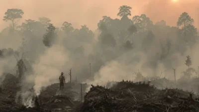 Kualitas Udara di 9 Wilayah Indonesia Memburuk akibat Karhutla, Kalteng Masuk Kategori Berbahaya