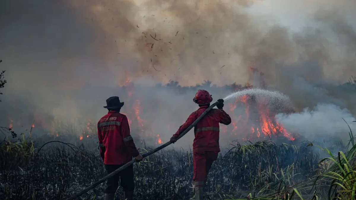 Presiden Prabowo Setujui Bantuan Asing Untuk Atasi Karhutla di Indonesia