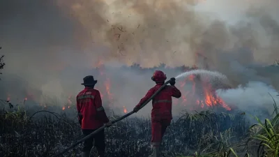 Presiden Prabowo Setujui Bantuan Asing Untuk Atasi Karhutla di Indonesia