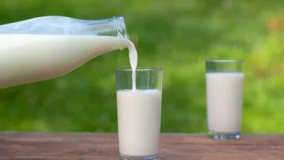 Susu Masuk Menu MBG Lagi, BGN Sekaligus Siapkan Aturan Baru Pengadaan Pangan