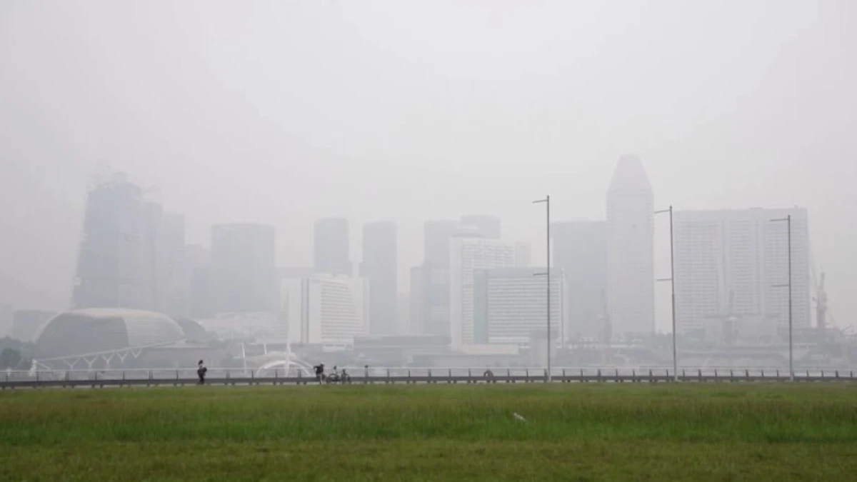 Singapura Bongkar 7 Perusahaan Diduga Terlibat Karhutla, Tiga Pemasok APP