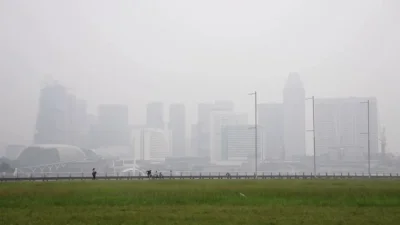 Singapura Bongkar 7 Perusahaan Diduga Terlibat Karhutla, Tiga Pemasok APP