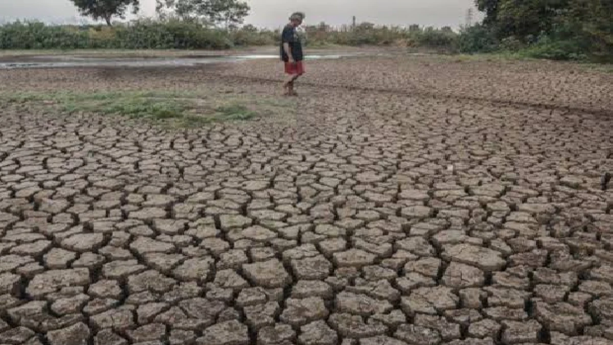 Prakiraan cuaca Kabupaten Subang 20–29 Oktober 2026, Sejumlah Kecamatan Berpotensi Hujan Ringan
