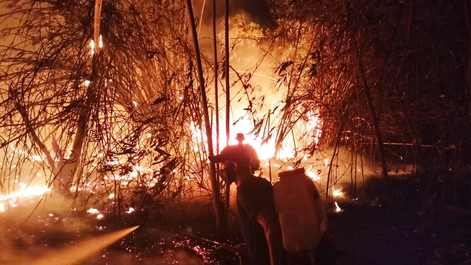 BPBD Subang Catat 119 Kebakaran Hutan dan Lahan, 355 Hektare Terbakar hingga Oktober 2026