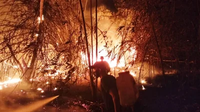 BPBD Subang Catat 119 Kebakaran Hutan dan Lahan, 355 Hektare Terbakar hingga Oktober 2026