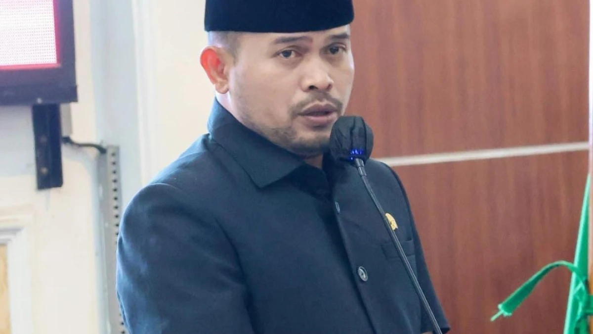 Abang Ijo Sebut Perda No. 15/2023 Perlu Disempurnakan, Dasar Hukum Pemungutan Pajak dan Retribusi