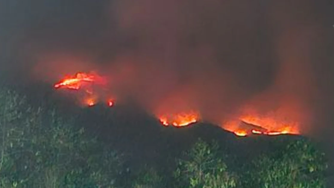 Kebakaran Hutan di Gunung Sumbing, 152 Pendaki Dievakuasi dan Jalur Pendakian Ditutup