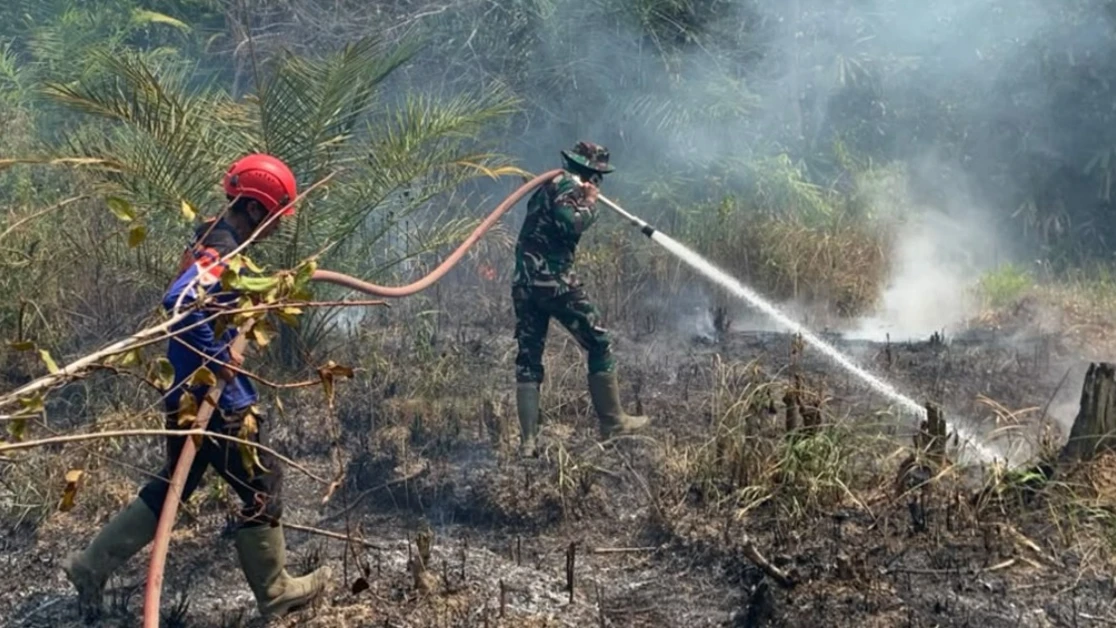 BNPB Buka Peluang Terima Bantuan Negara Lain untuk Tangani Karhutla