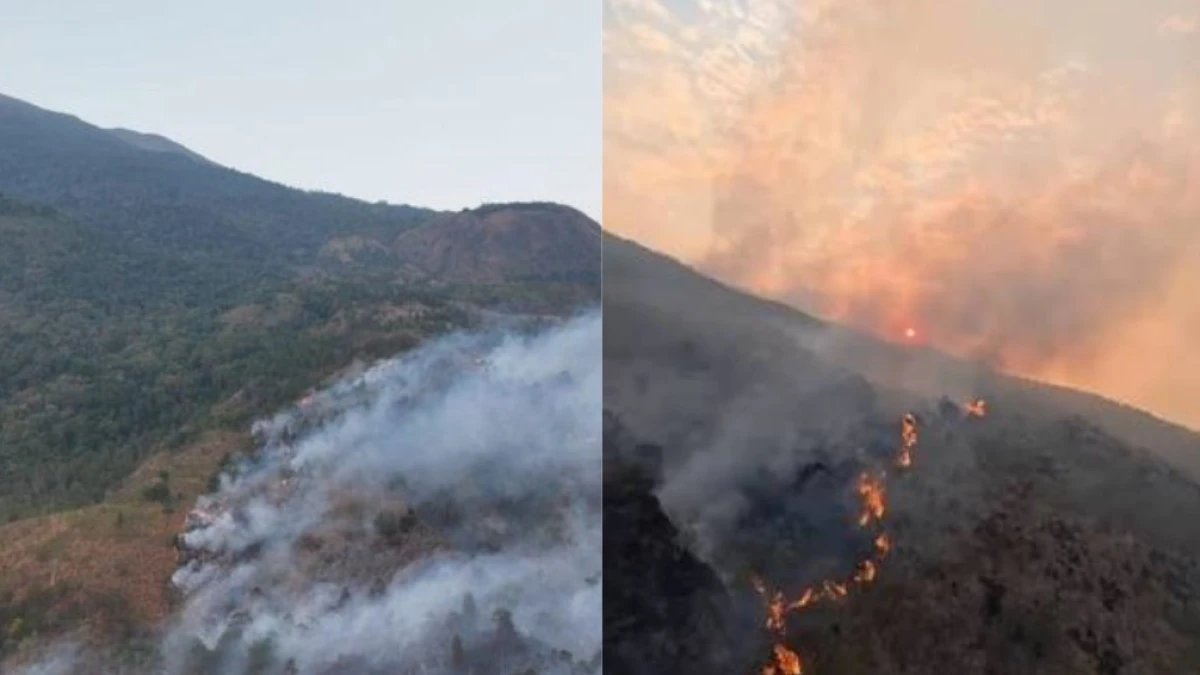 Dua Hari Berjibaku, Karhutla Kawasan Gunung Ciremai Meluas di Tengah Angin Kencang