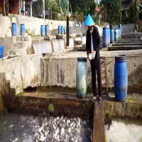 Budidaya Ikan di Cijambe Subang Hasilkan Belasan Ton, Distribusi hingga Jakarta dan Bandung