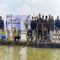 Dahana Tanam 1000 Mangrove di Pesisir Utara Subang, Lestarikan Lingkungan dari Abrasi Ombak