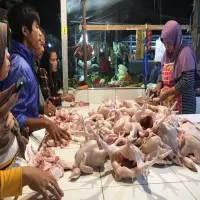 Harga Daging Ayam Meroket di Subang, Permintaan Meningkat, Pasokan Terbatas