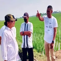 Subang Belum Punya Perda Lahan Pertanian Pangan Berkelanjutan