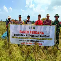 Program Ketahanan Pangan Desa Margahayu di Subang Merugi, Akibat Serangan Hama Tikus