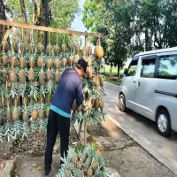 Pasca penertiban, Pedagang Subang Selatan Kembali Berjualan