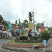 Mau Tau Subang Singkatan dari Apa? Simak Fakta Unik Nama Daerah di Jawa Barat Ini