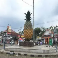 Nama-Nama Daerah Subang yang Wajib Kamu Tahu, dari Ciater hingga Compreng!
