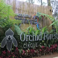 Wisata Orchid Forest Cikole Lembang Sambut Lonjakan Pengunjung di Akhir Pekan
