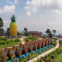 10 Fakta Menarik Subang, Kota dengan Penghasil Nanas Terbanyak di Jawa Barat