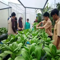 SLB Yakailmu Purwakarta Bekali Kemandirian Setelah Lulus Sekolah, Latih Siswa Menanam Sayuran Hidroponik