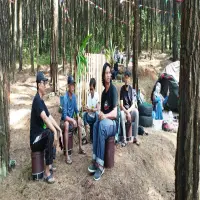 Timan Hills, Destinasi Wisata Alam Bernuansa Hutan Pinus di Desa Tambakmekar Subang