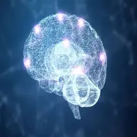 Cara Bicara yang Khas, Ini 15 Kalimat Sering Diucapkan Orang yang IQ Tinggi, Kamu Termasuk?