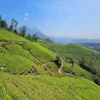 4 Wisata Kebun Teh Ciater Subang yang Wajib Kamu Kunjungi