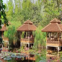 3 Tempat Makan Lesehan di Subang yang Enak dan Cocok untuk Keluarga