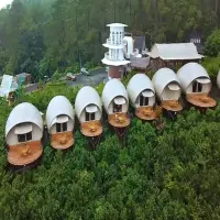 Top 3 Tempat Wisata Terfavorit di Subang: Dari Alam Sejuk Hingga Spot Foto Instagramable