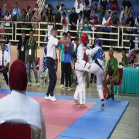 Kodim Subang Gelar Kejuaraan Taekwondo, Ratusan Atlet Meriahkan HUT TNI ke-80