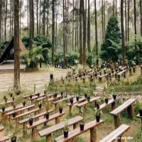 Ciri Khas Lembang: Pesona Alam Sejuk dan Wisata Populer di Bandung Barat