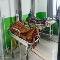 Hendak Kirim Nanas ke Lembang, Mobil Pick Up Tertimpa Pohon Besar di Ciater, 2 Orang Meninggal Dunia