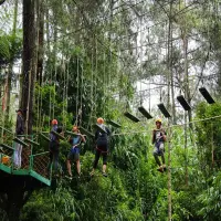 Paket Outbound di Grafika Cikole 2025: Serunya Team Building di Tengah Hutan Pinus Lembang