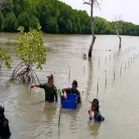YLNI Tanam 7.500 Mangrove di Anggasari Subang, Peringati Hari Aksi Iklim Internasional