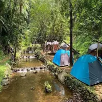 Rekomendasi Tempat Camping Keluarga di Subang, Alam Asri dan Fasilitas Lengkap