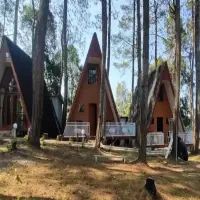 Penginapan di Cikole 2025: Glamping, Villa, dan Resort di Tengah Hutan Pinus Lembang