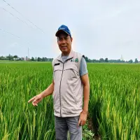 Untungkan Petani, Ketua KTNA Jabar Apresiasi Harga Pupuk Turun 20 Persen
