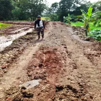 Dukung Usaha Tani, Pemdes Pangsor di Subang Bangun Jalan Baru